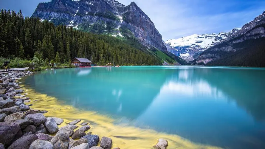 绿色高精度独特